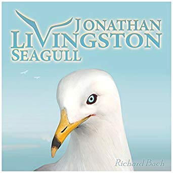 cover for Jonathan Livingston Seagull
