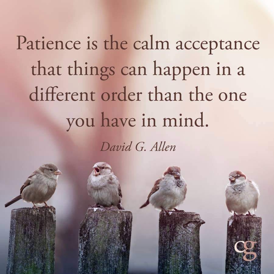 Patience is the calm acceptance that things can happen in a different order  than the one you have in mind. – Tamara Kulish, image size:900x900